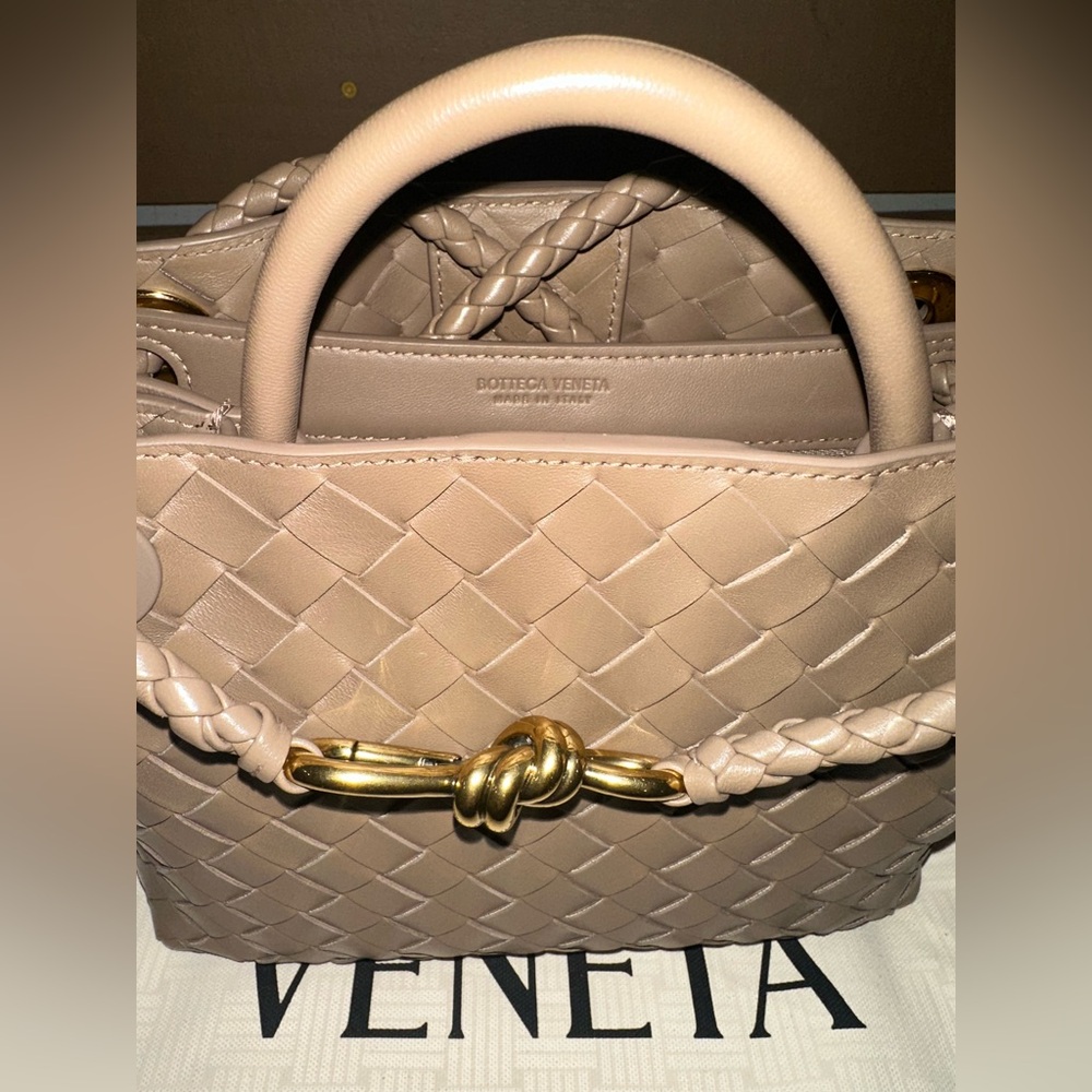 Bottega Veneta small Andiamo Pinecone/Brass - Picture 15 of 15